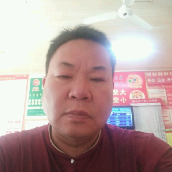 小天鹅有魅力的照片