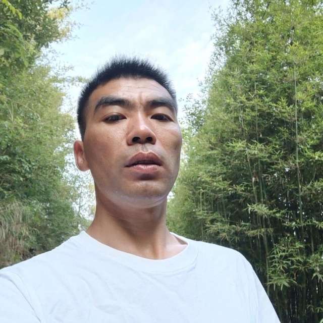 典雅笑悟空的照片