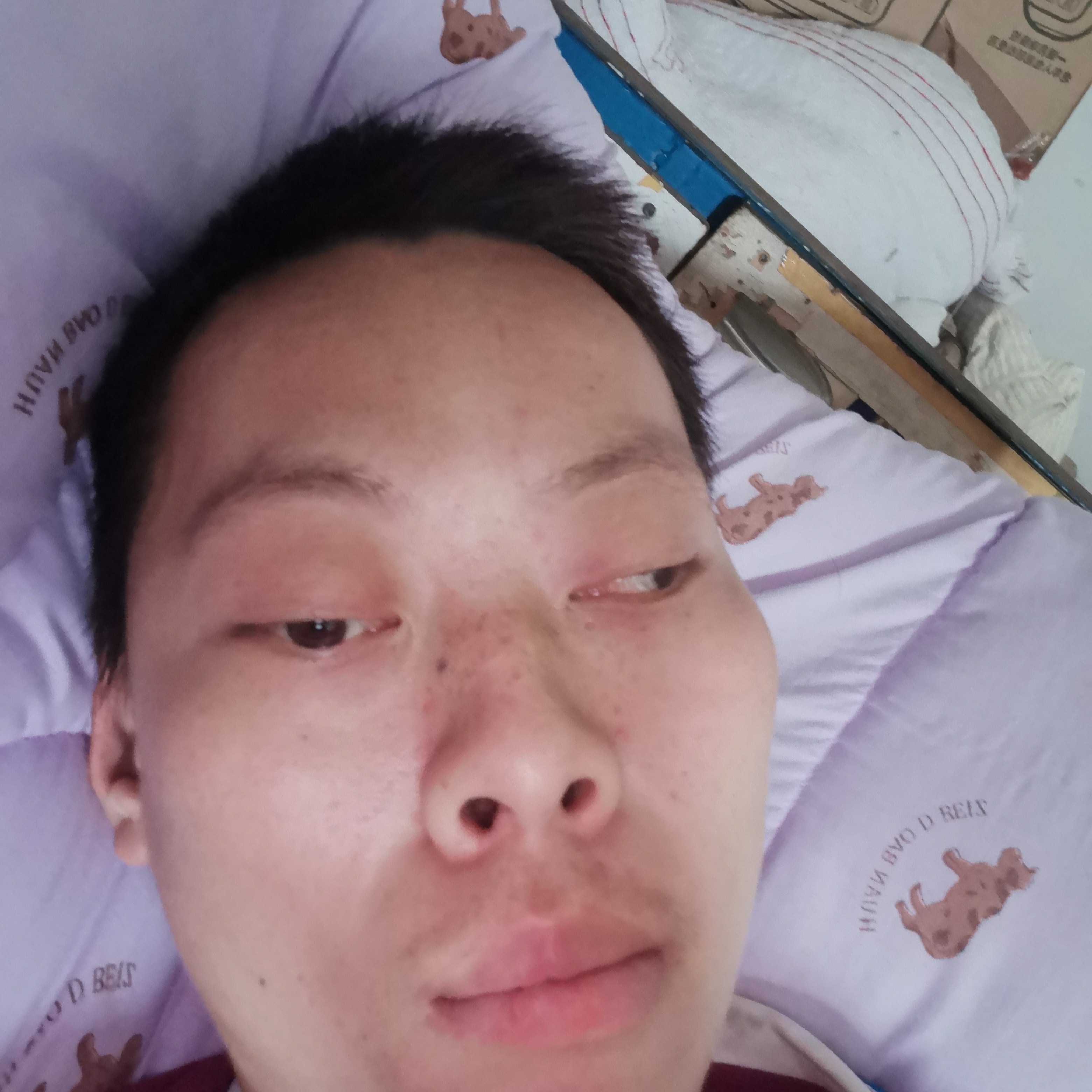 彼岸蹙眉高高的照片