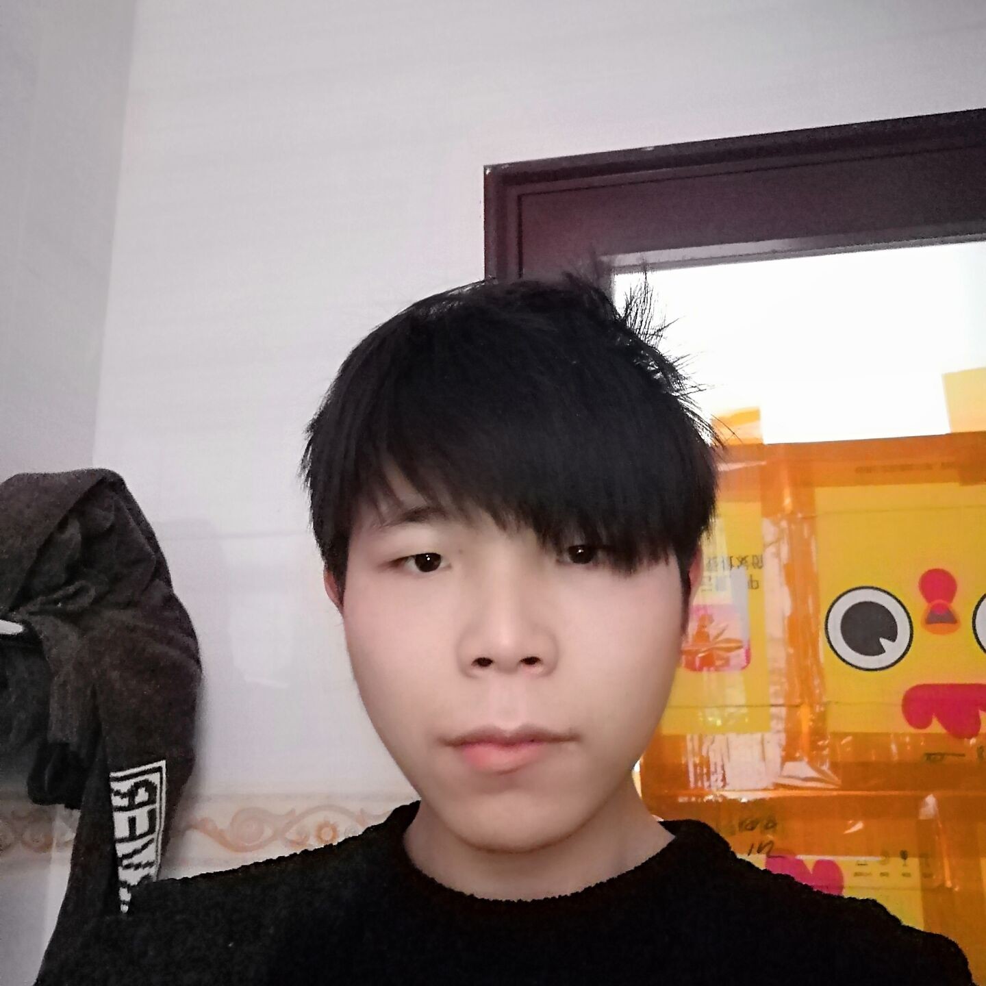 错落倾心紫菜的照片