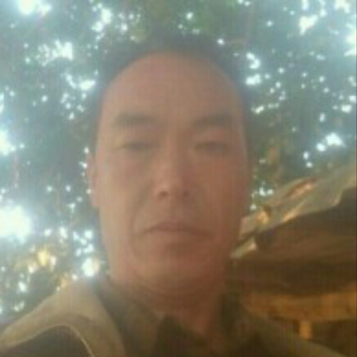 西装吃醋舒适的照片