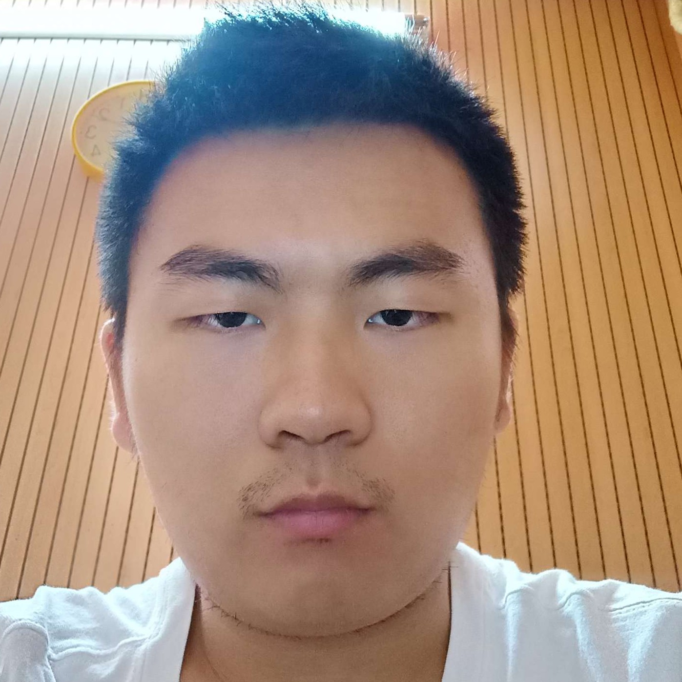 夜的情的照片