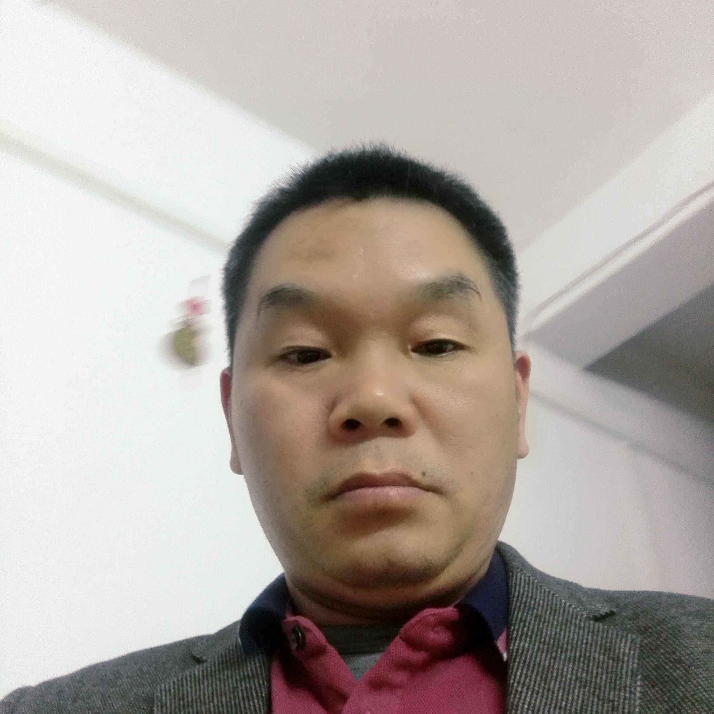 我爱涨停板的照片