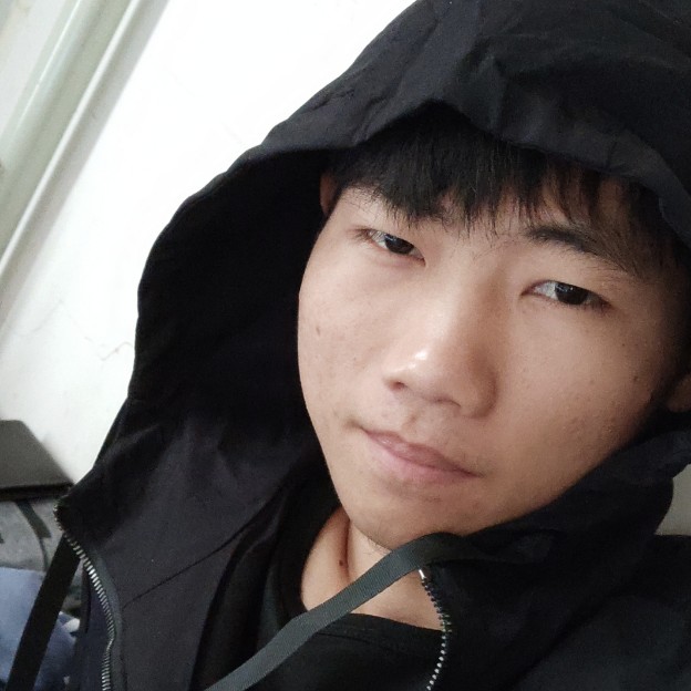 疯狂小狗的照片