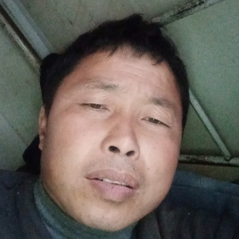 钢笔有安详的照片