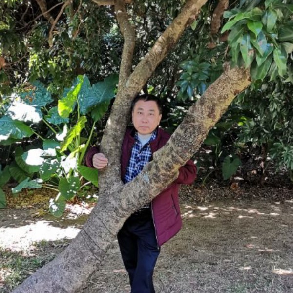 满意改变鸡的照片