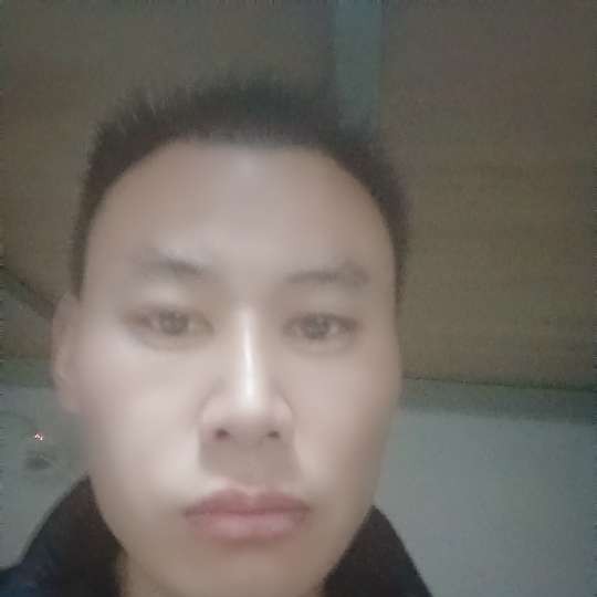 善良的橄榄树的照片