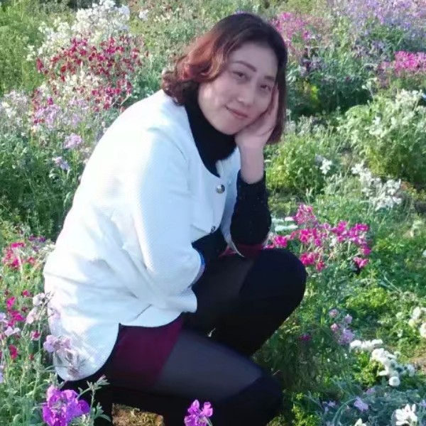幽默蝶舞的照片