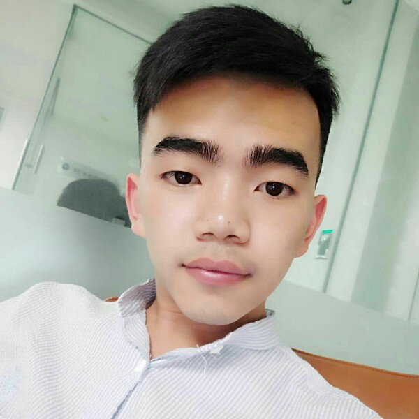 小熊猫结实的照片