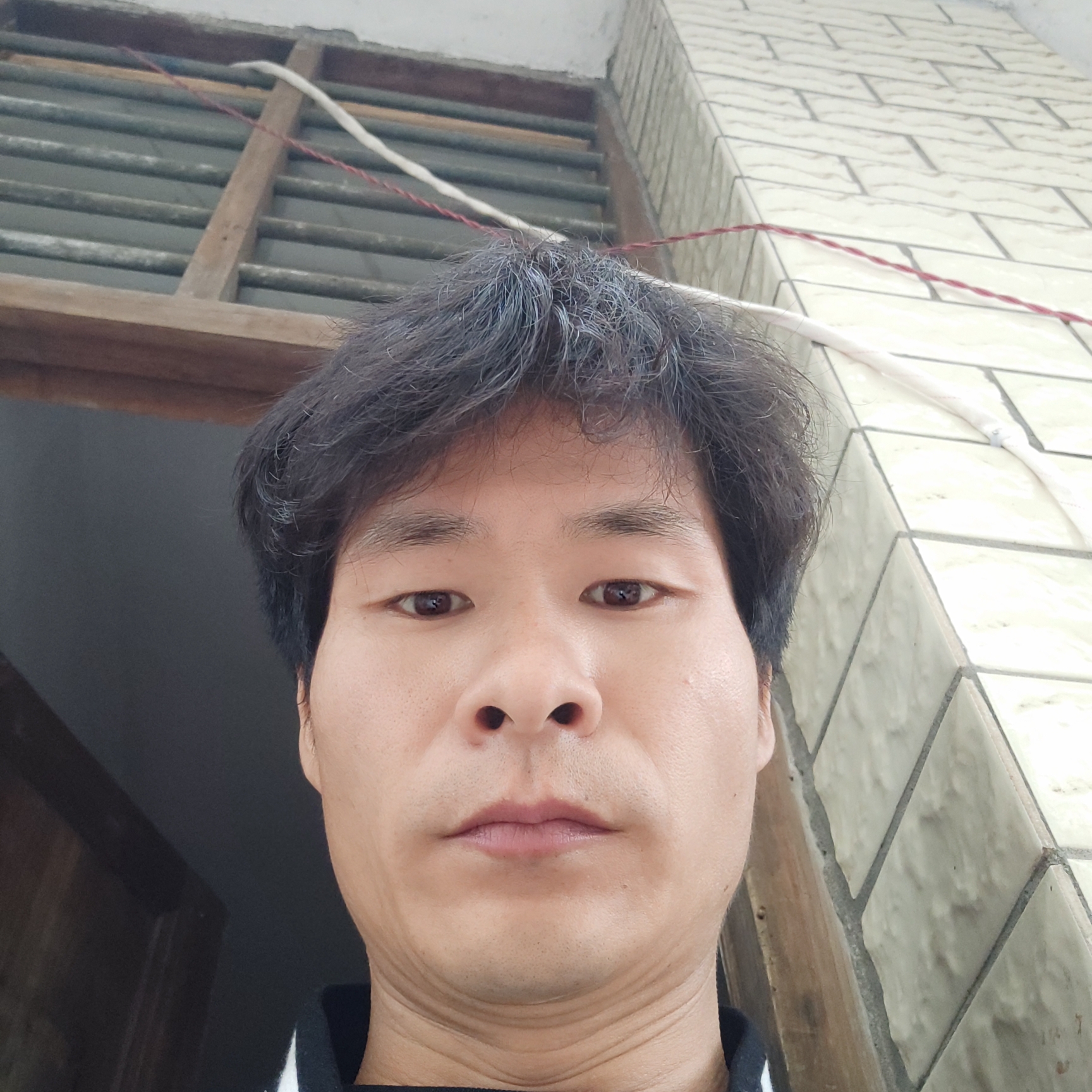 蜜蜂笑落寂的照片