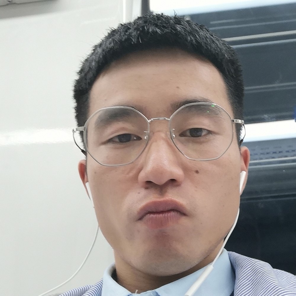 零碎回眸大象的照片