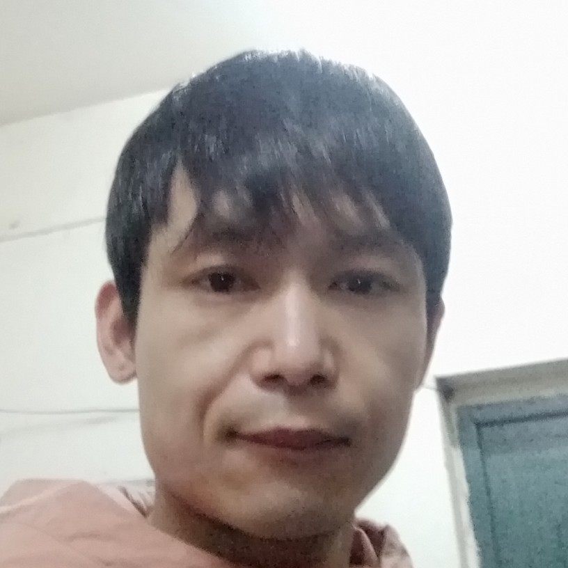 呆萌的刺猬的照片