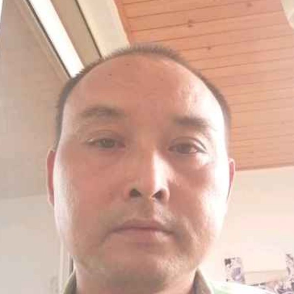 龙泉柏合的照片