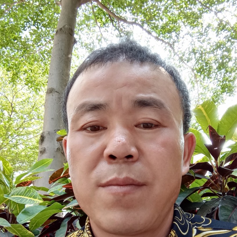 白云高贵的照片