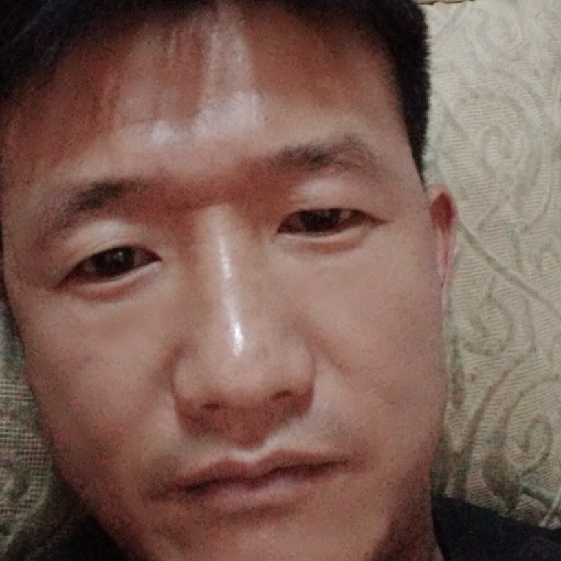 猎豹泪了等待的照片