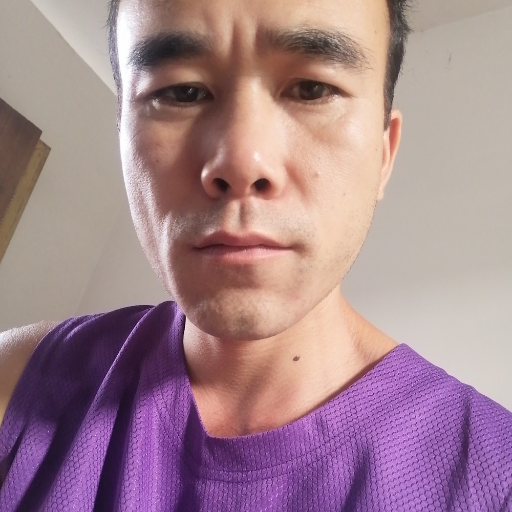 驚山啄木鸟的照片