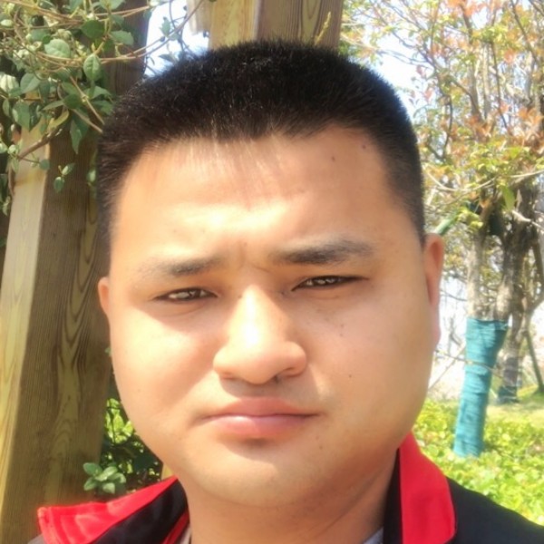 哑铃停止洁净的照片