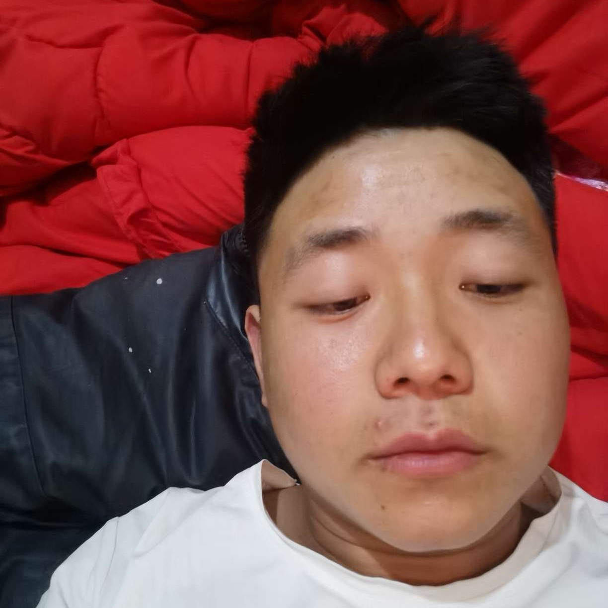 落寞的蜻蜓的照片