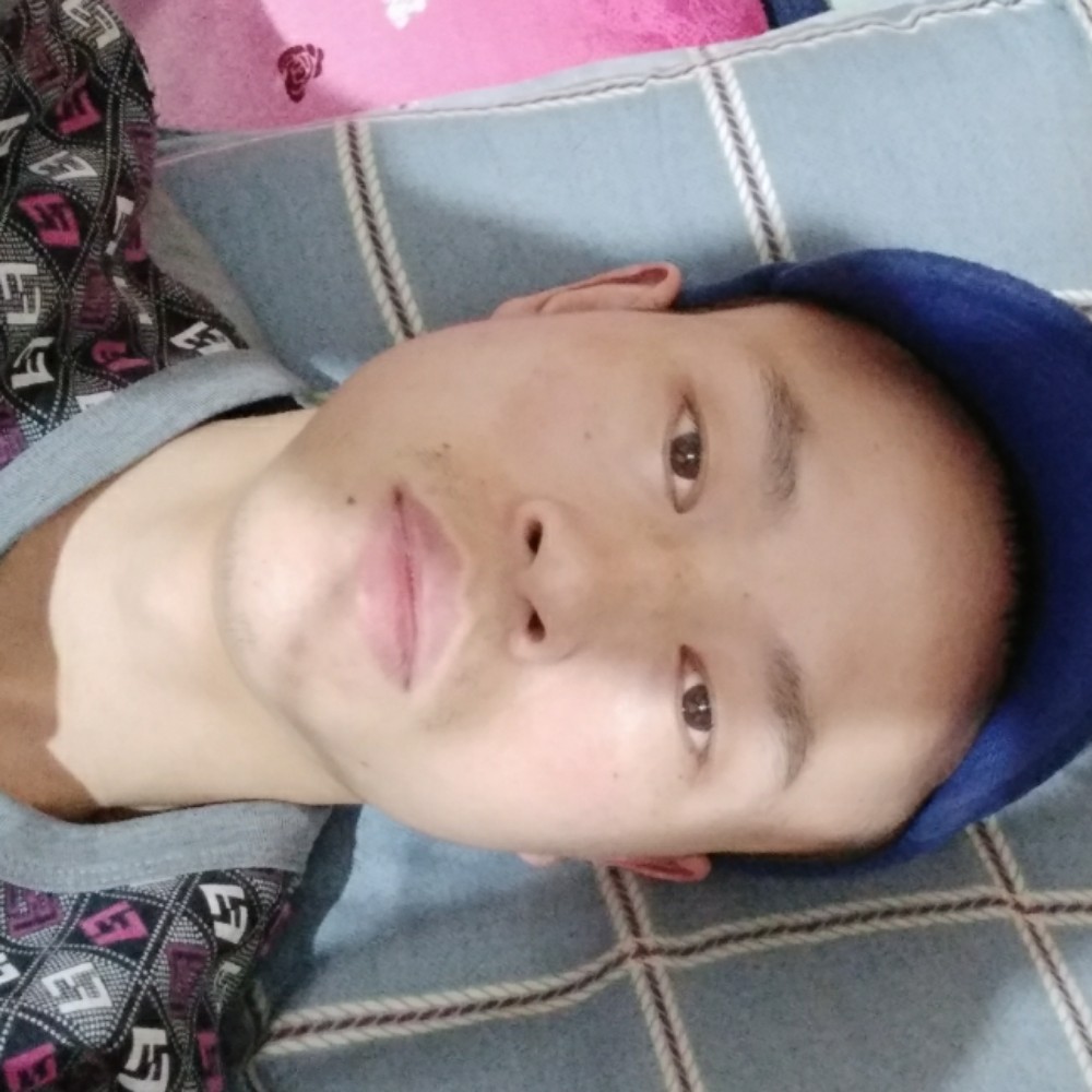 惊鸿等于雪白的照片