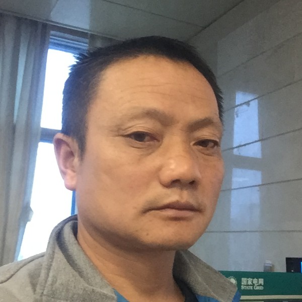 迷离给黑猫的照片