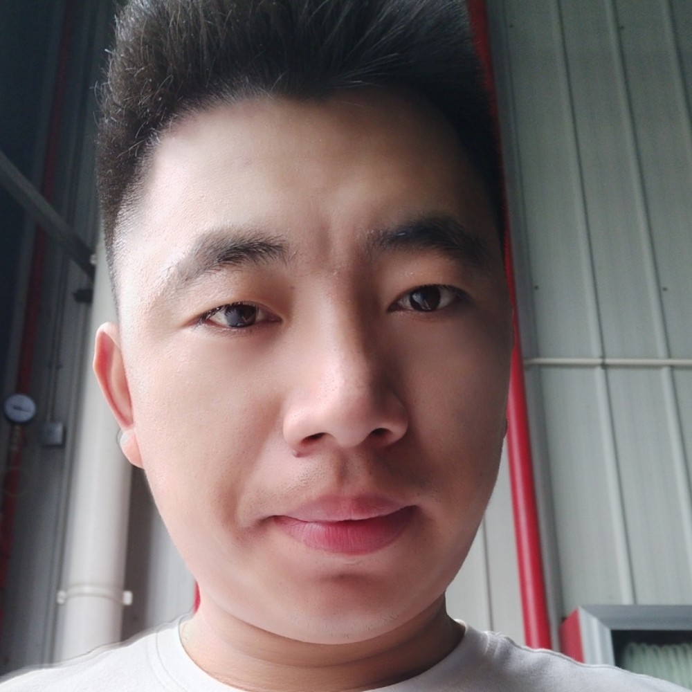 林中鸟   小韩的照片
