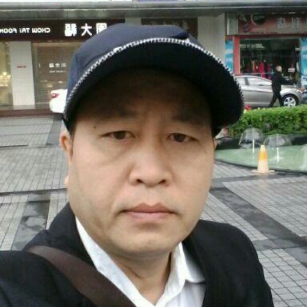 黄蜂长情的照片