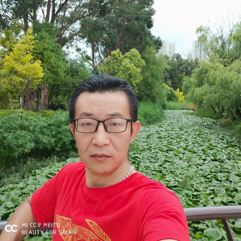 留恋的青蛙的照片