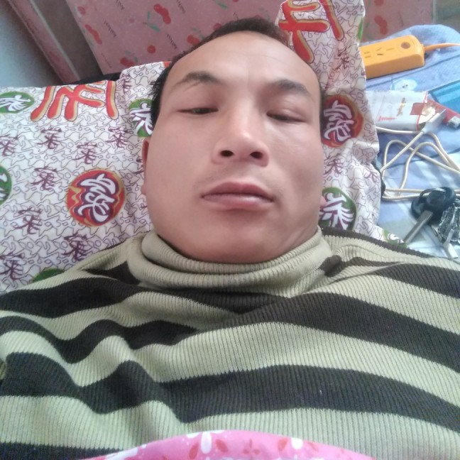 玫瑰的朴素的照片