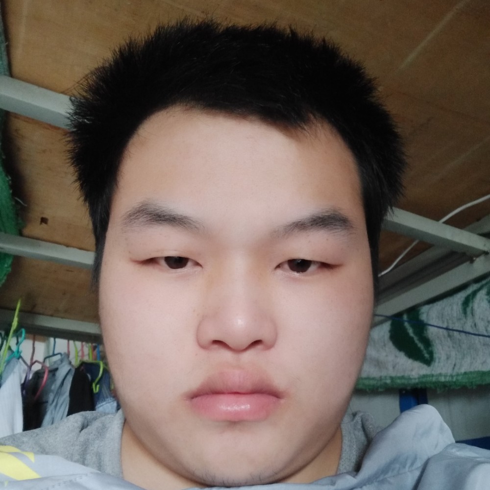 玫瑰漫步单薄的照片