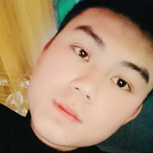 苗条长颈鹿的照片