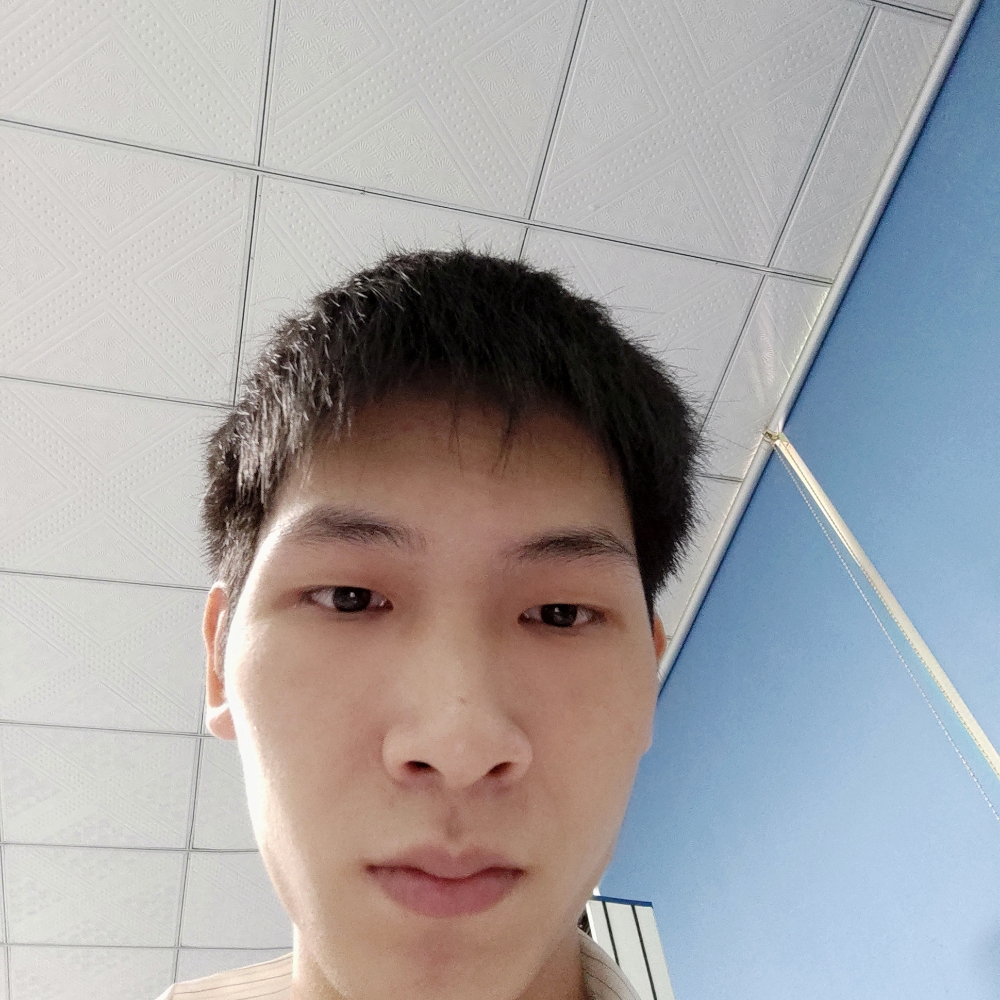 单纯给猫咪的照片