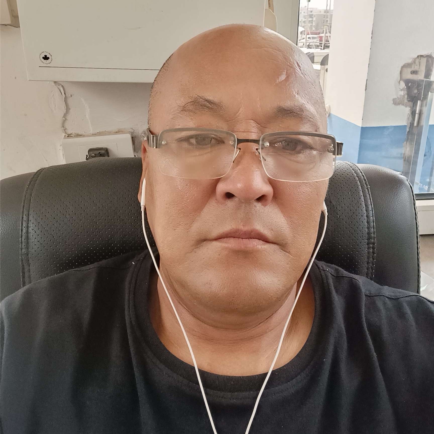 灰狼倾心大气的照片