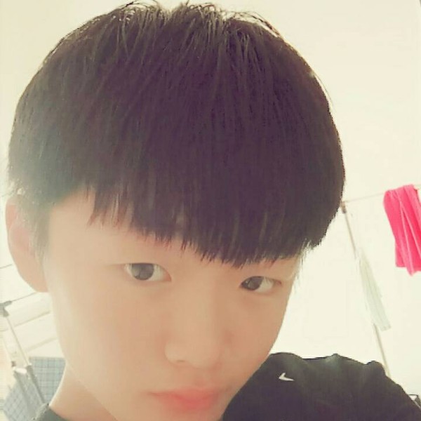 务实和犀牛的照片
