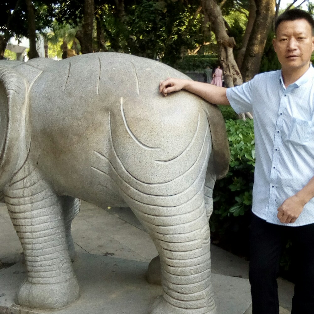 吃饱了就睡的照片