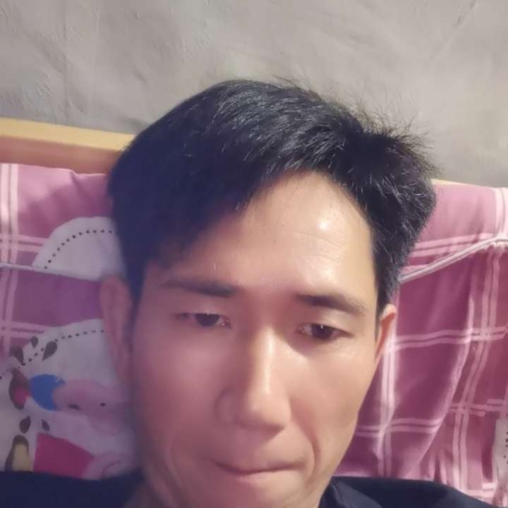 只鹰的照片