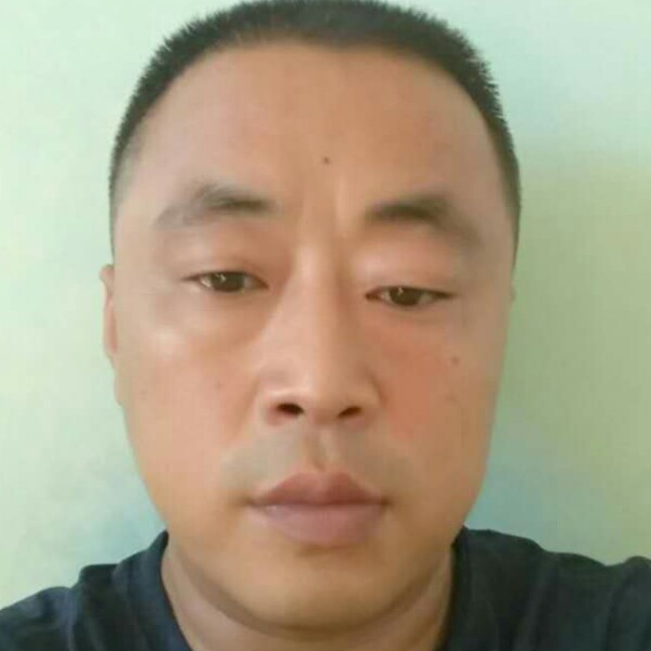 端庄哈密瓜的照片