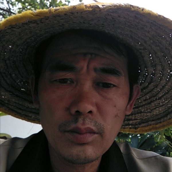 霸气和小蜜蜂的照片