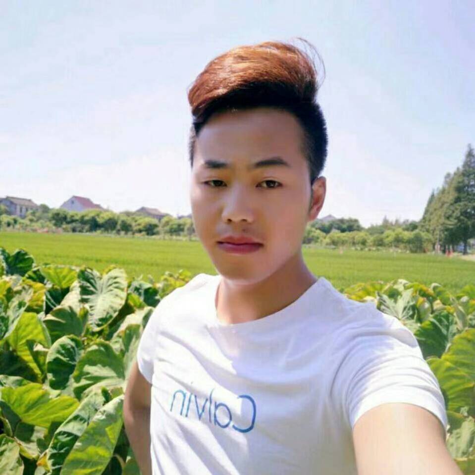 大象漂亮春康的照片