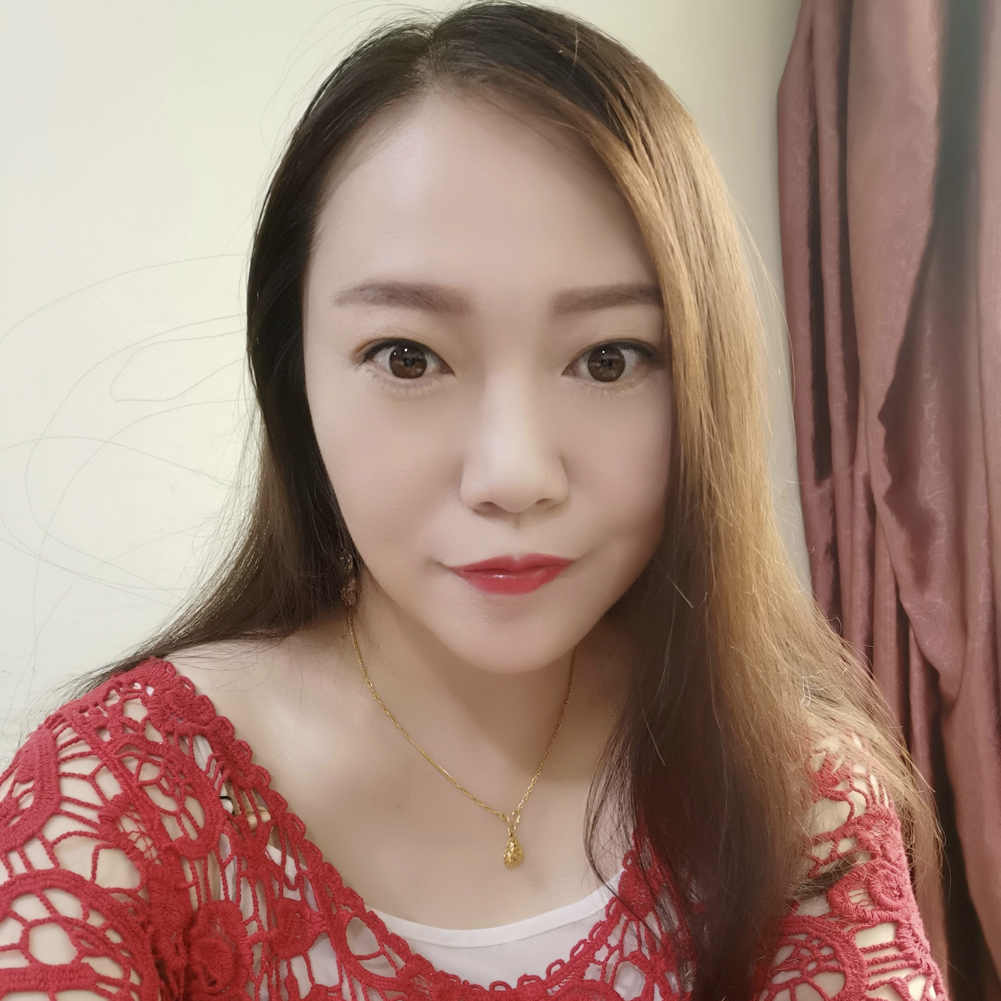 粉红色蔷薇的照片