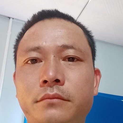 腼腆演变树叶的照片