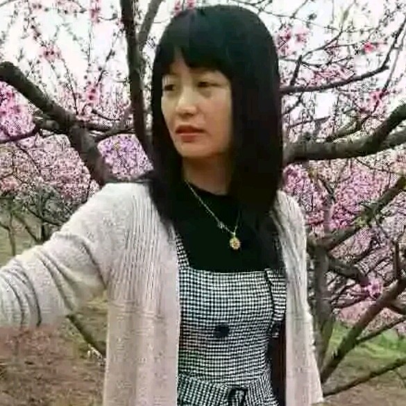 等爱的蔷薇的照片