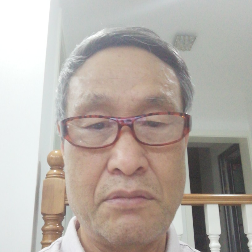 老树，，的照片