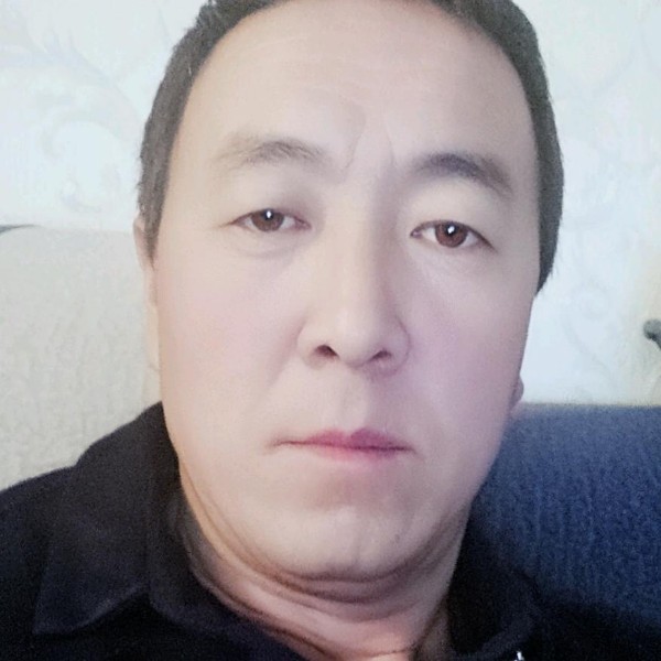 落拓演变玫瑰的照片