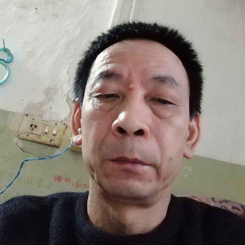 热情金毛的照片
