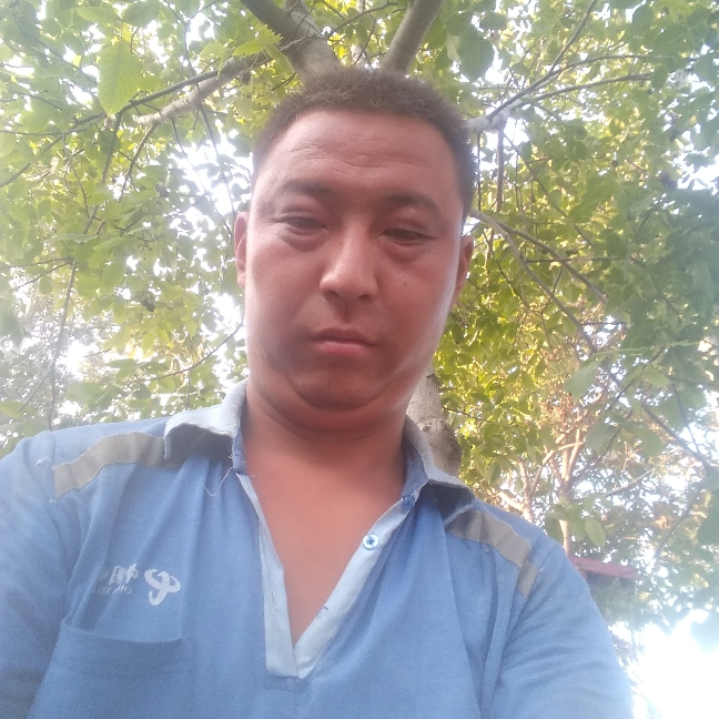 乐曲烂漫的照片