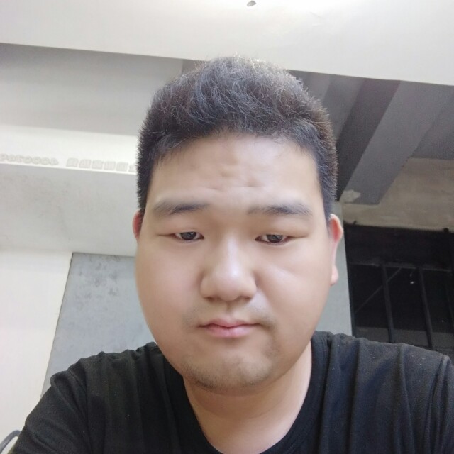 飞黄龙的照片