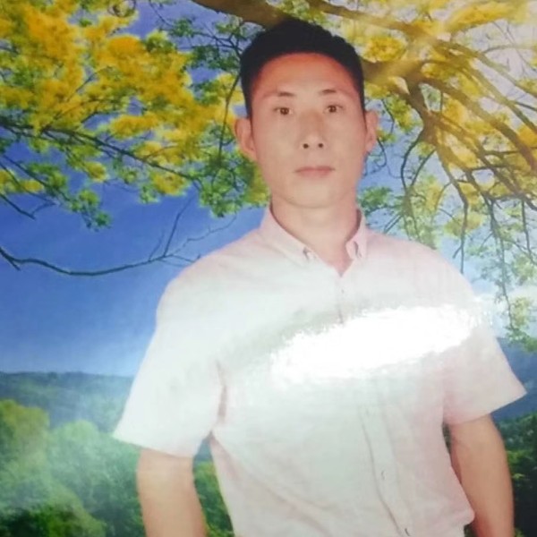大雁谁的照片