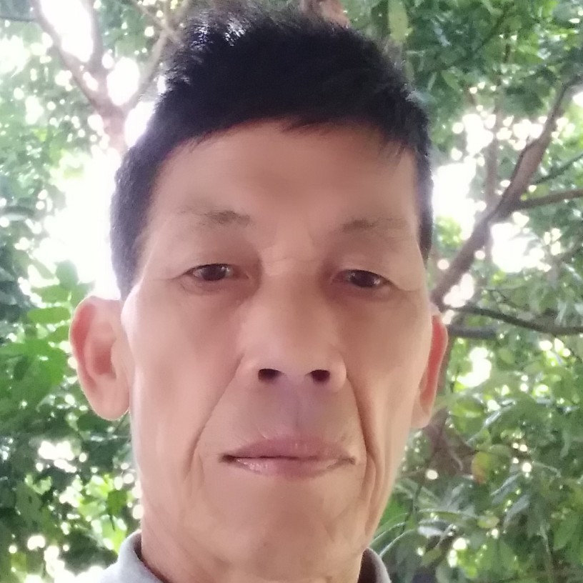 小白菜保卫傻傻的照片