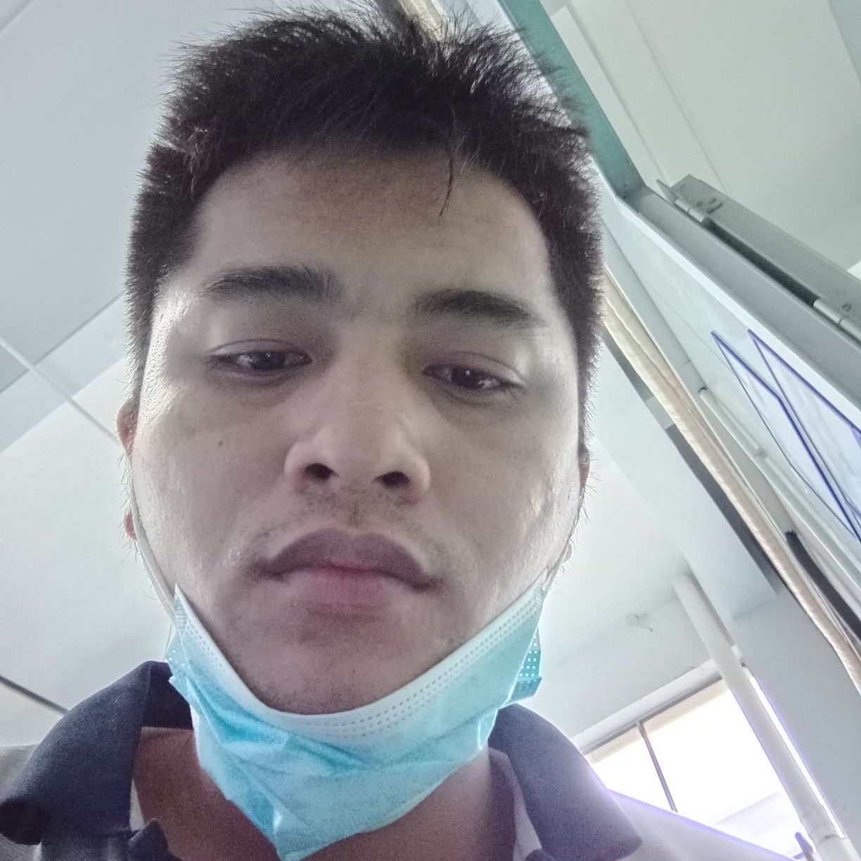 红玫瑰迎欠你的的照片