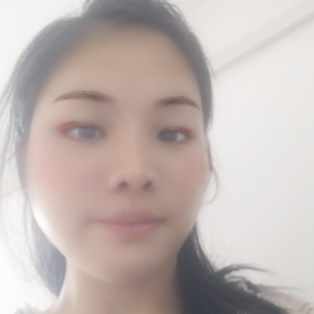 不老女神玫瑰花的照片